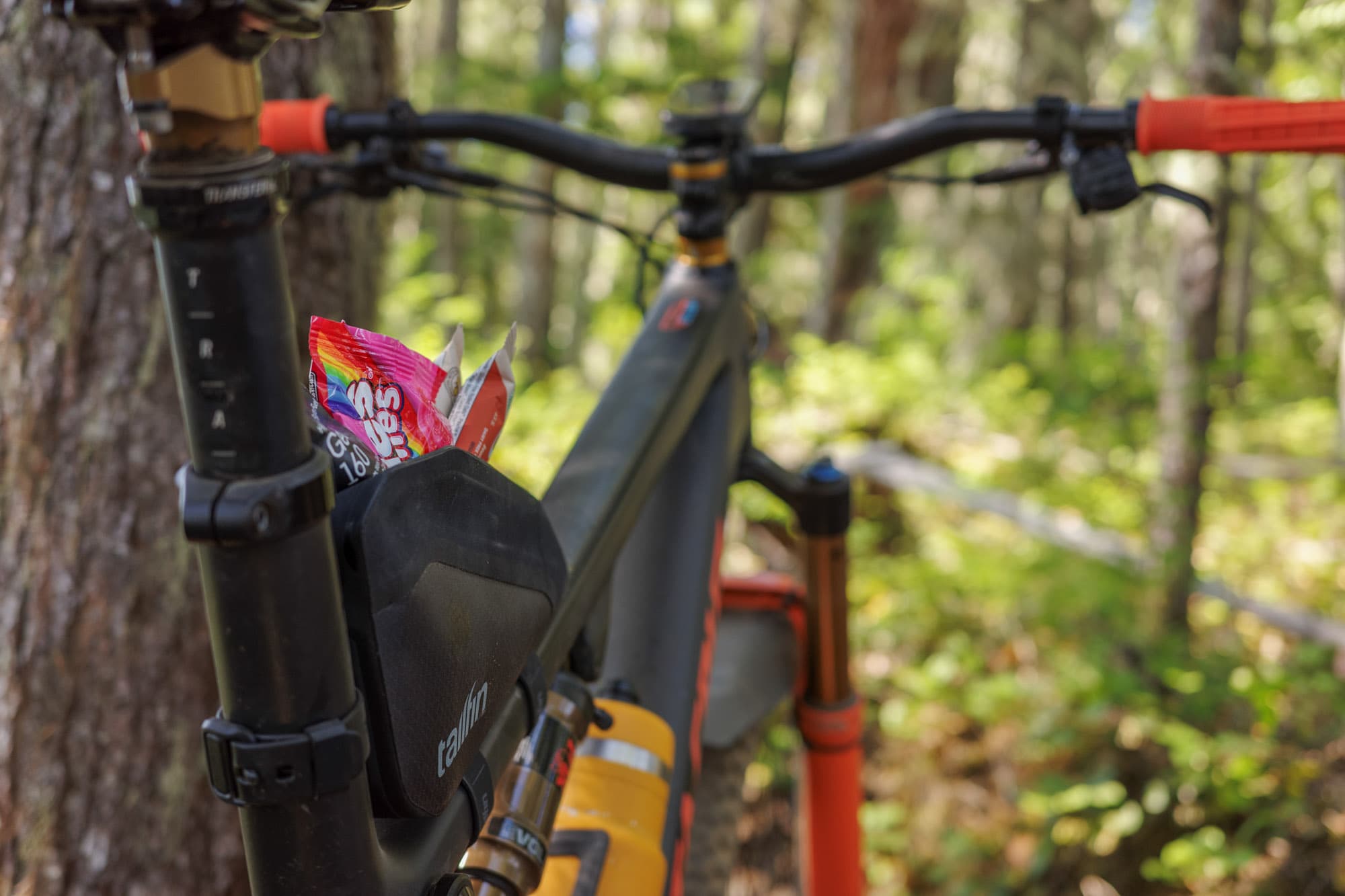 The Tailfin Rear Top Tube Bag stuffed with treats.