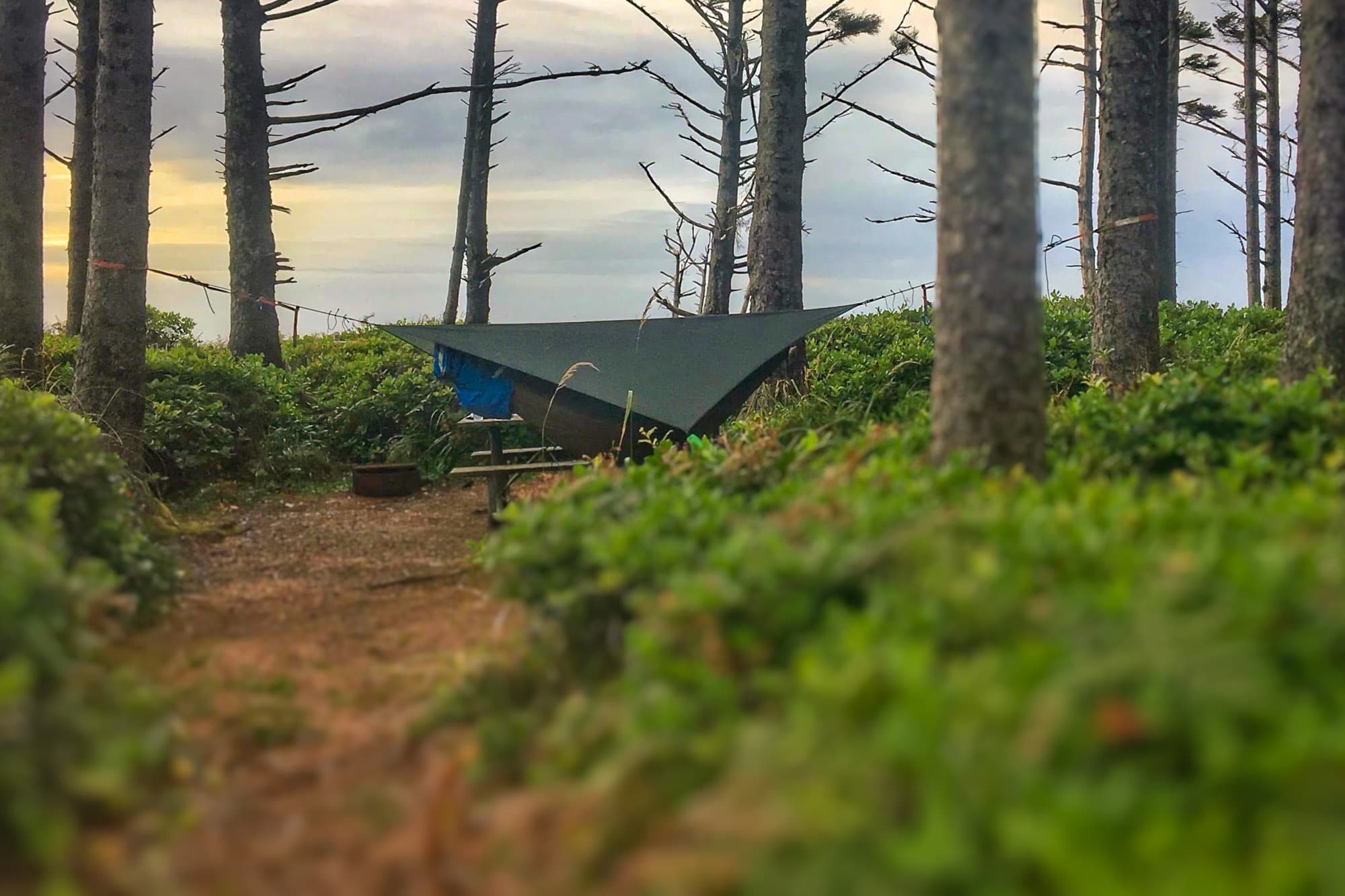 Hennessy Hammock pitched in forest