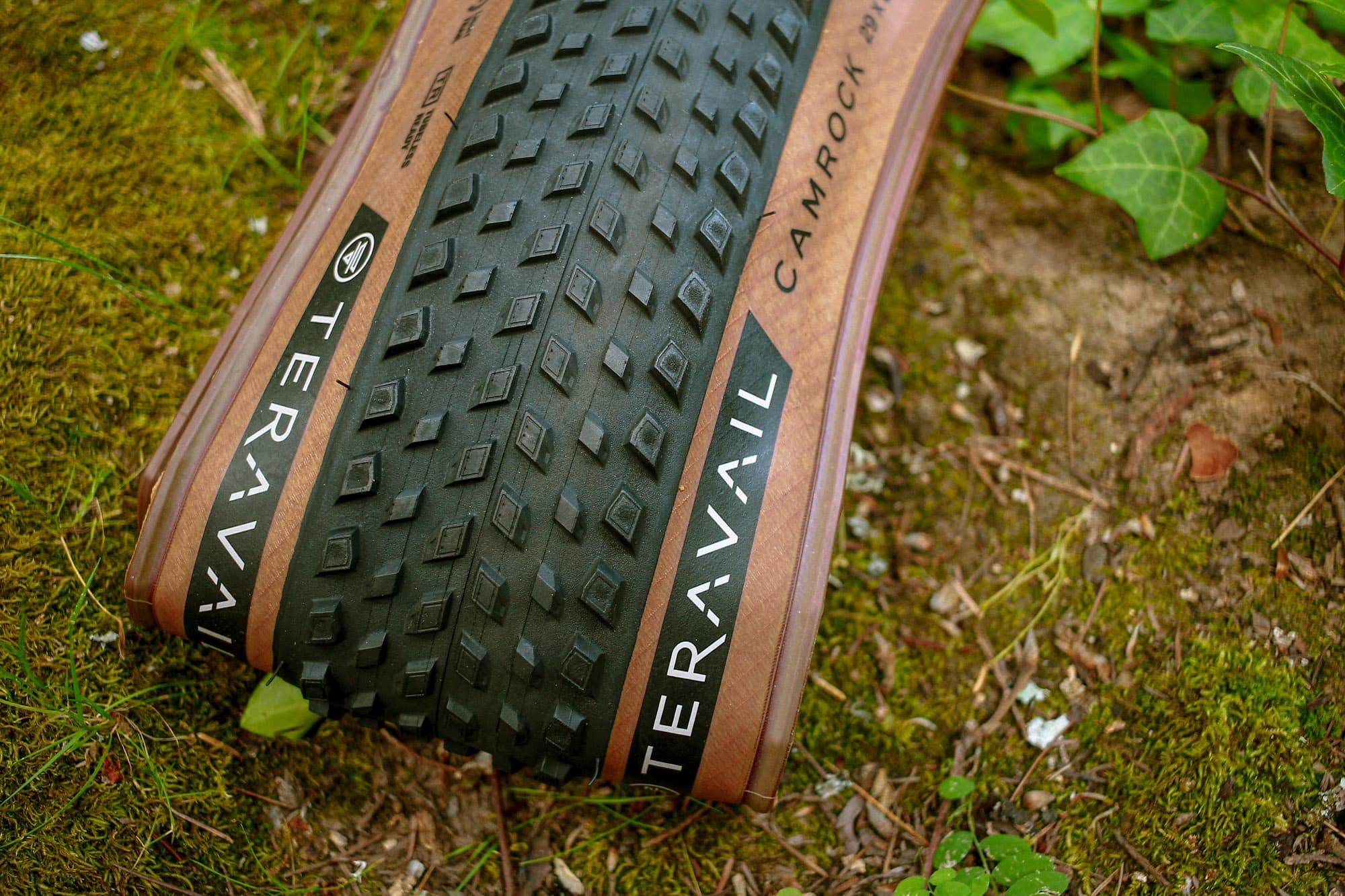 Teravail Camrock & Drawpoint: Treading Lightly