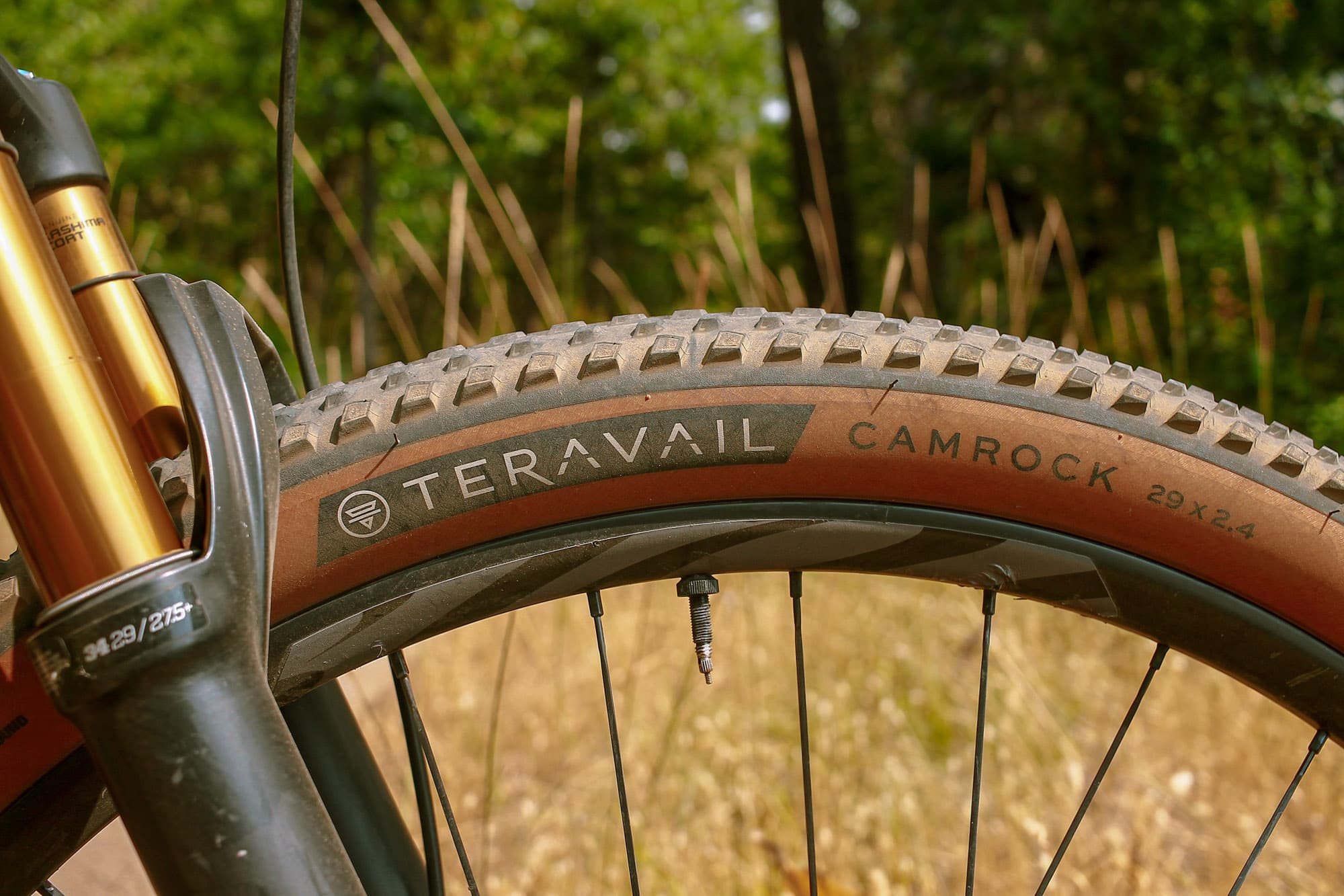 The Teravail Camrock logos.