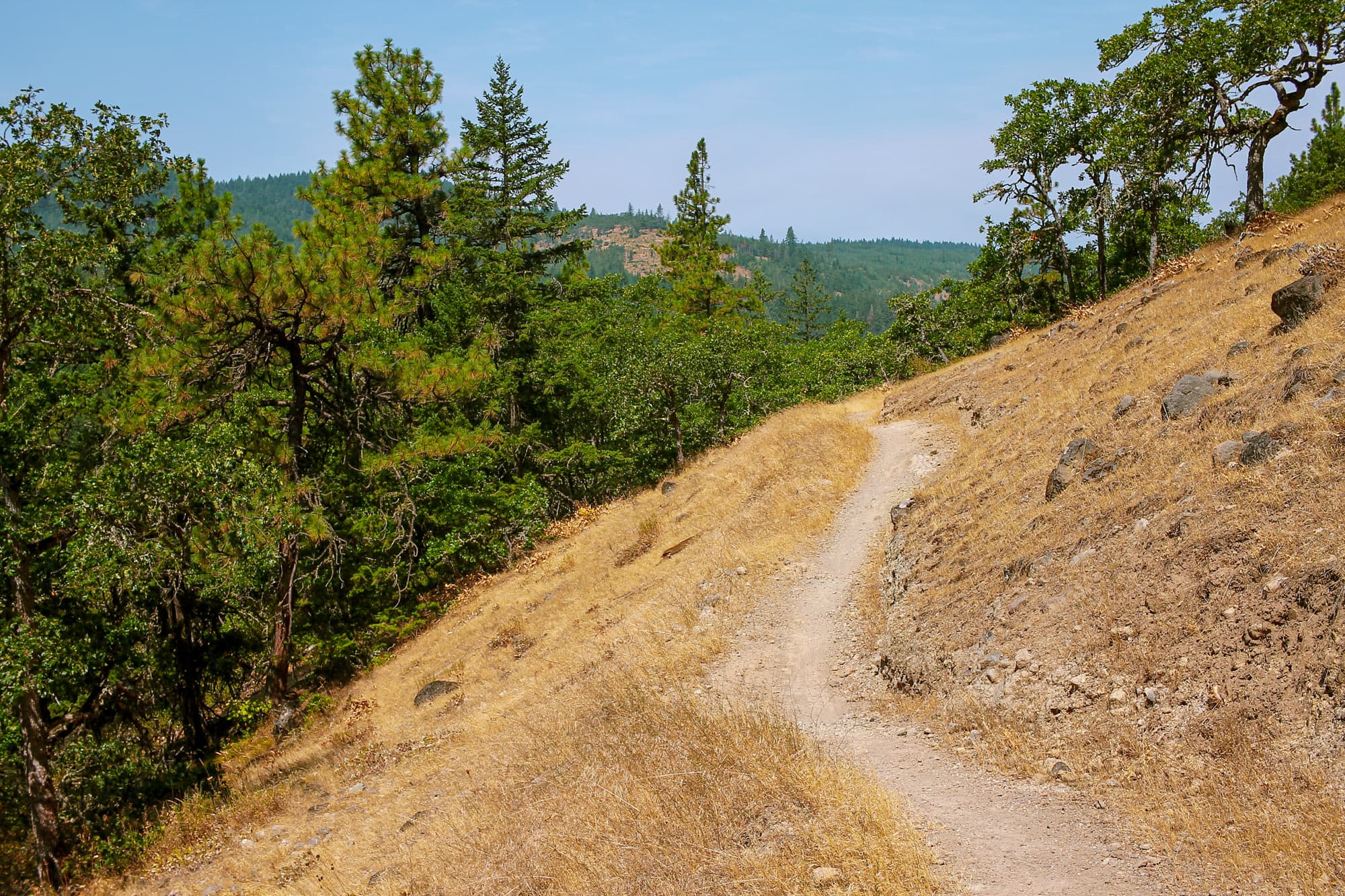 A stunning trail in Oregon.