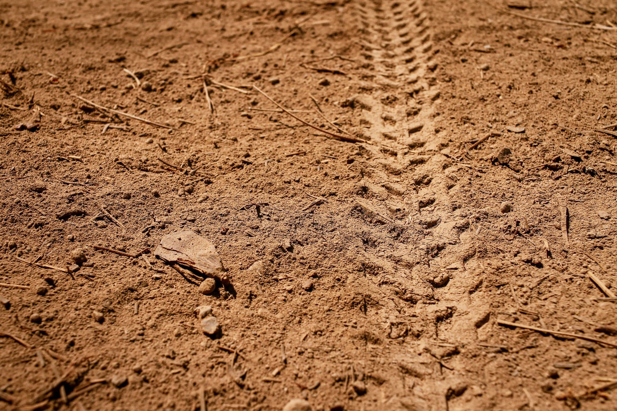 The Teravail Camrock tracks in the dirt.