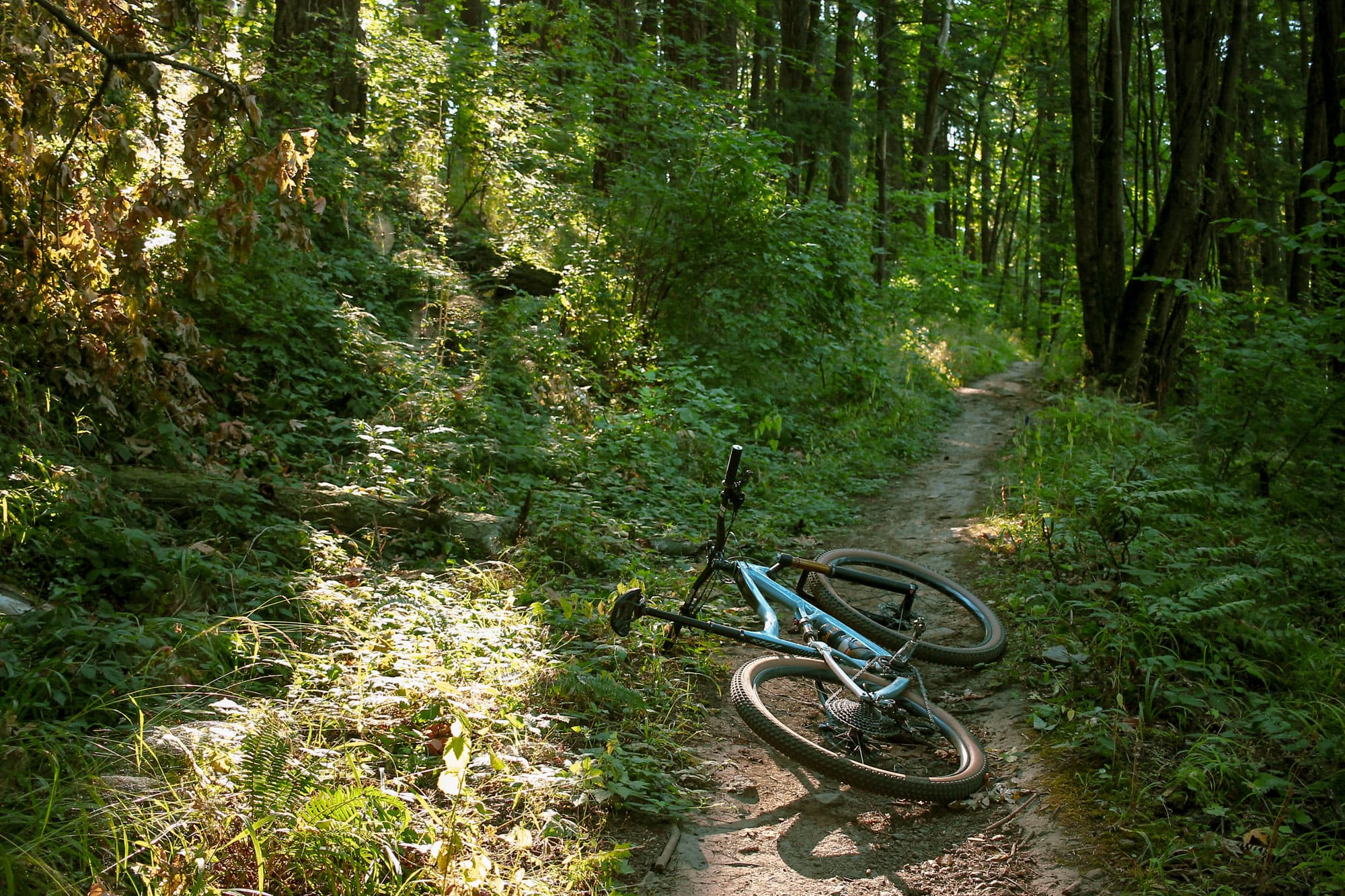 More lovely Oregon trail.