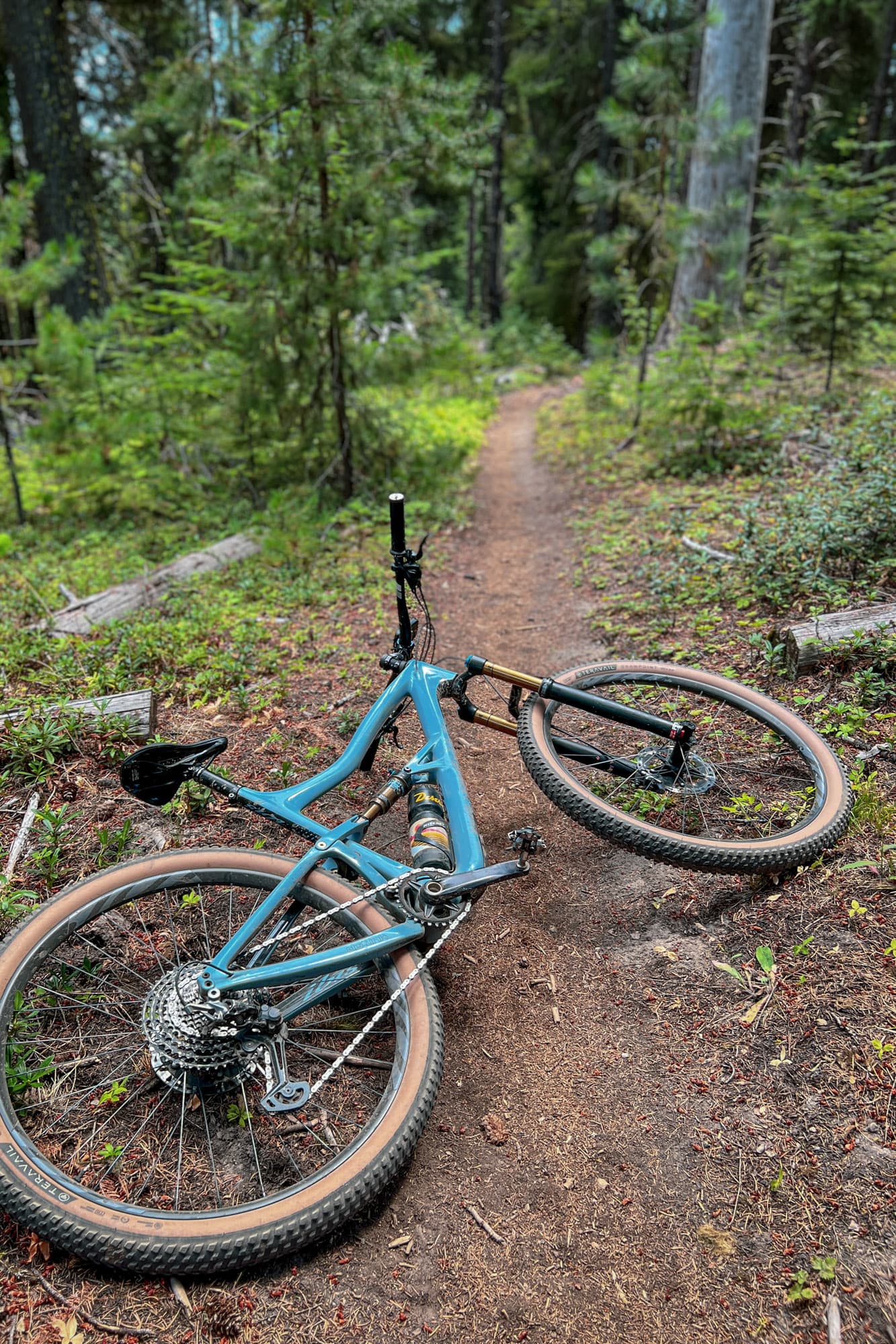 Rons bike takes a rest.