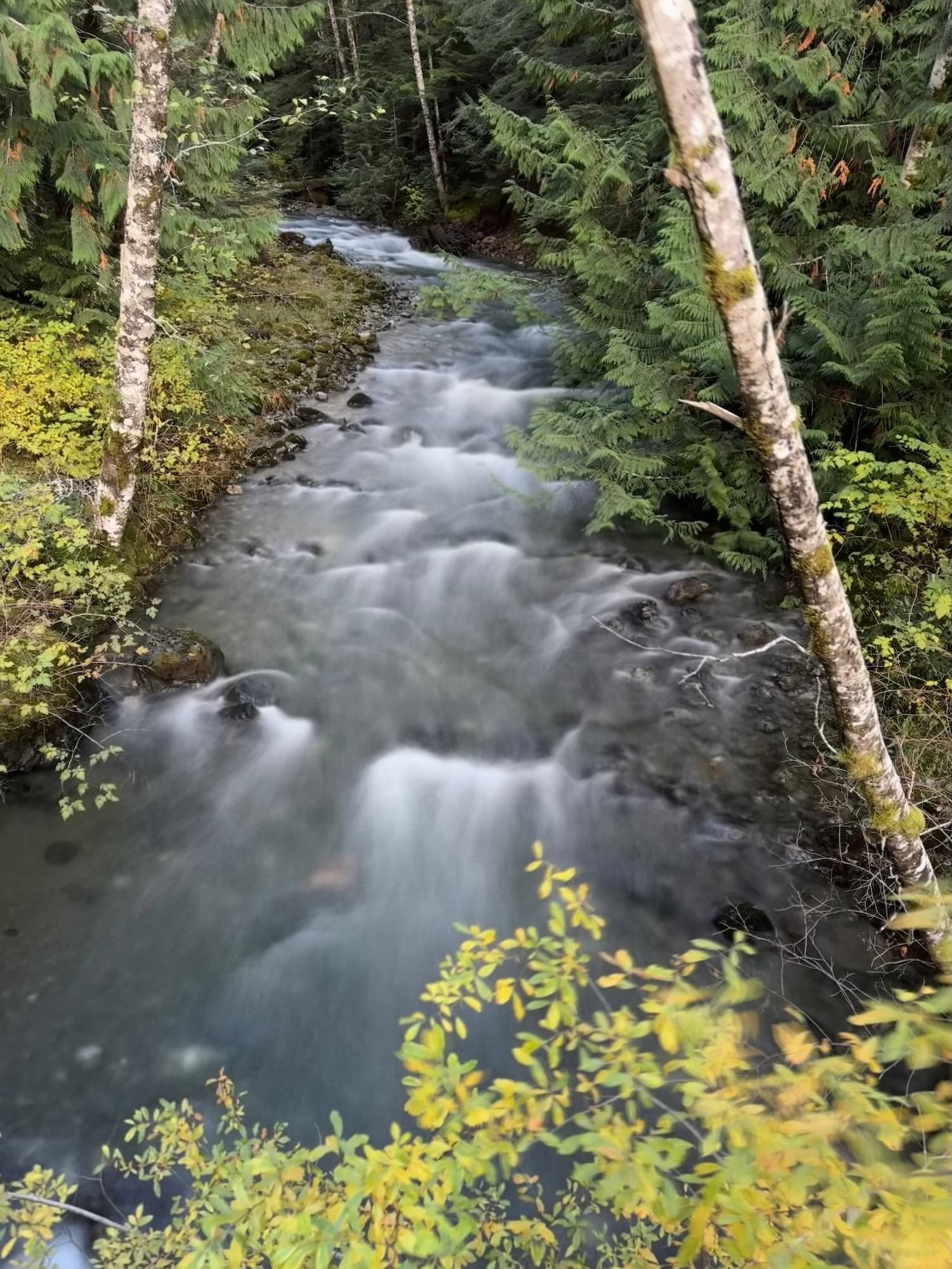 A silky creek pouring through autumn colour beside the route