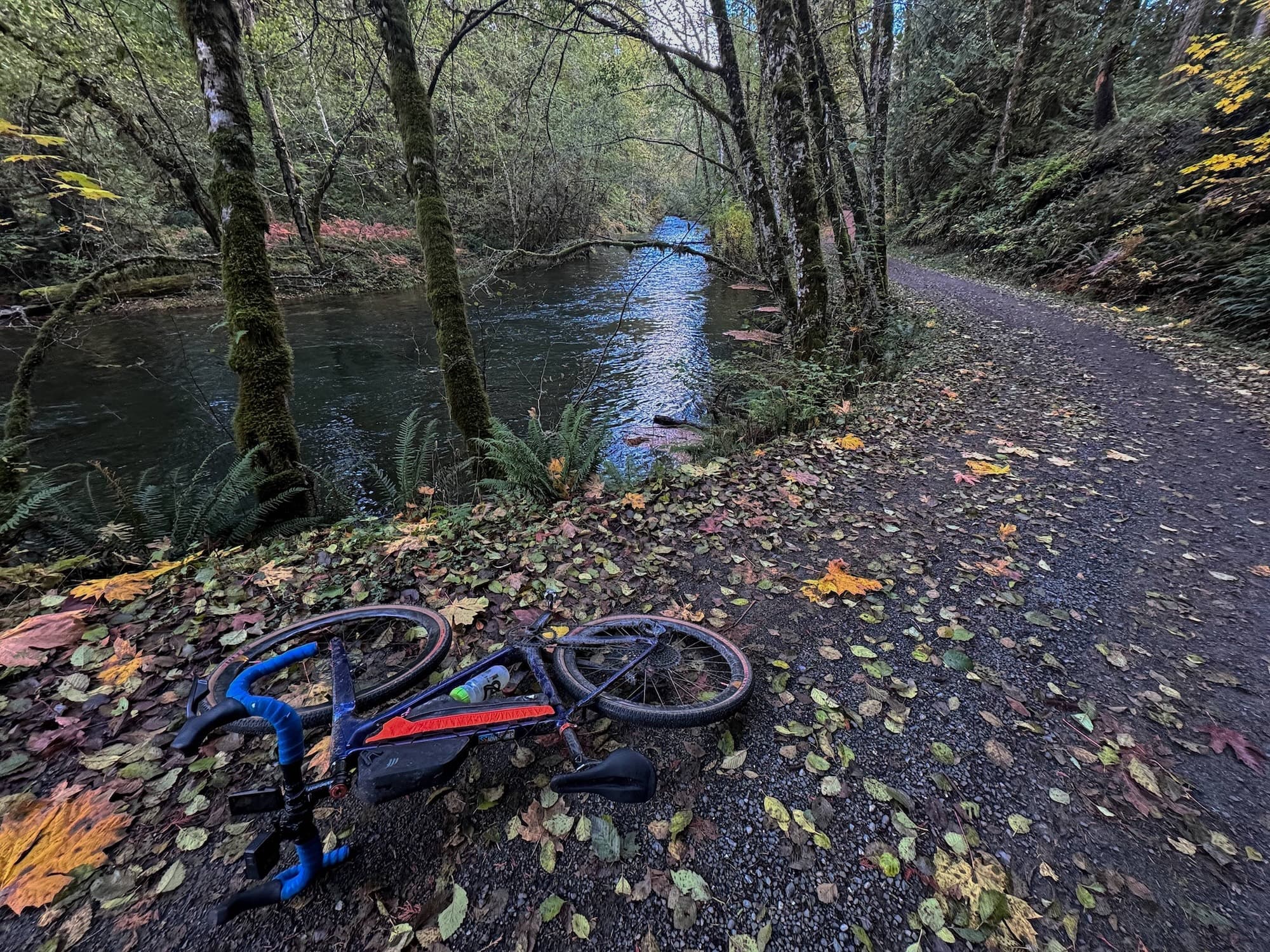 The Big Qualicum River Regional Trail in full autumn