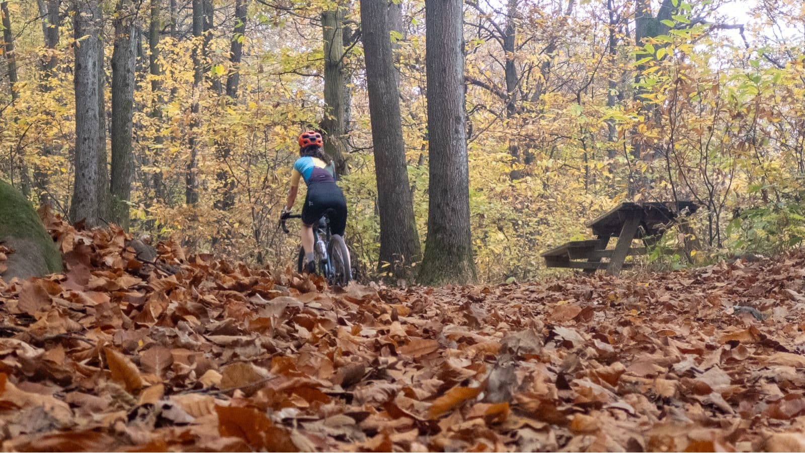 A rider and a dog on a leaf-covered singletrack in autumn