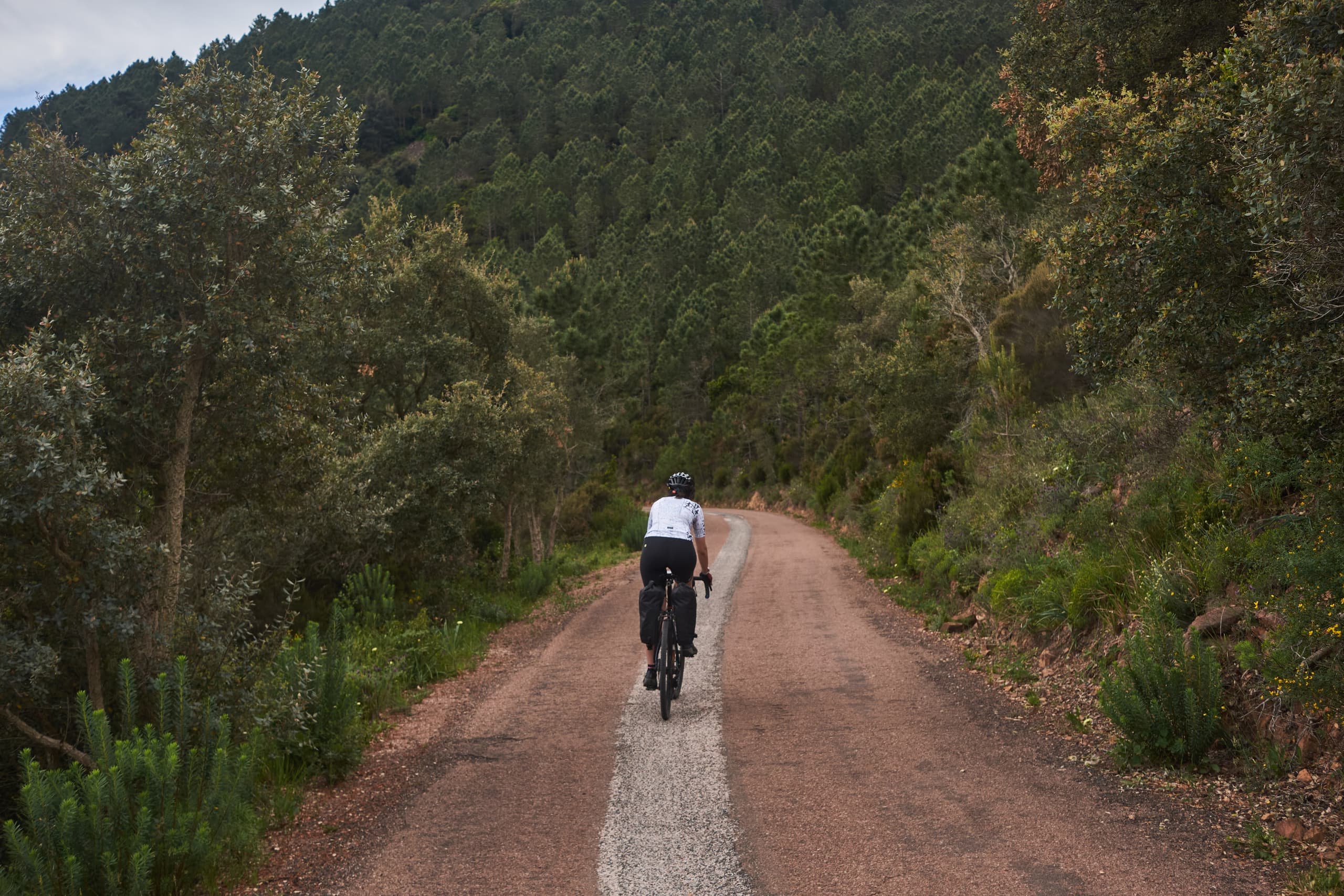 A rider on a gravel road through pine forest