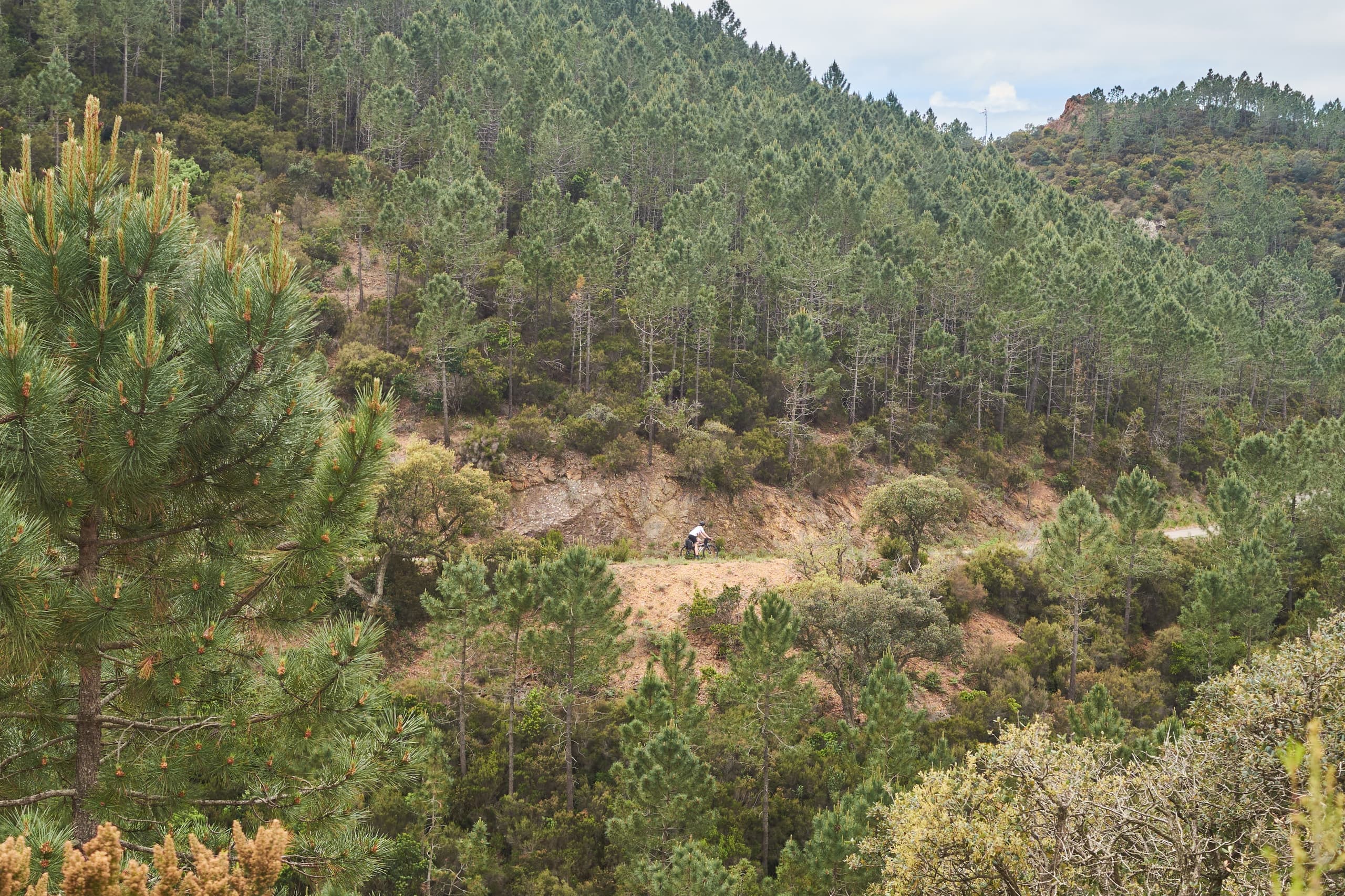 A distant rider crossing a red-dirt trail through the valley
