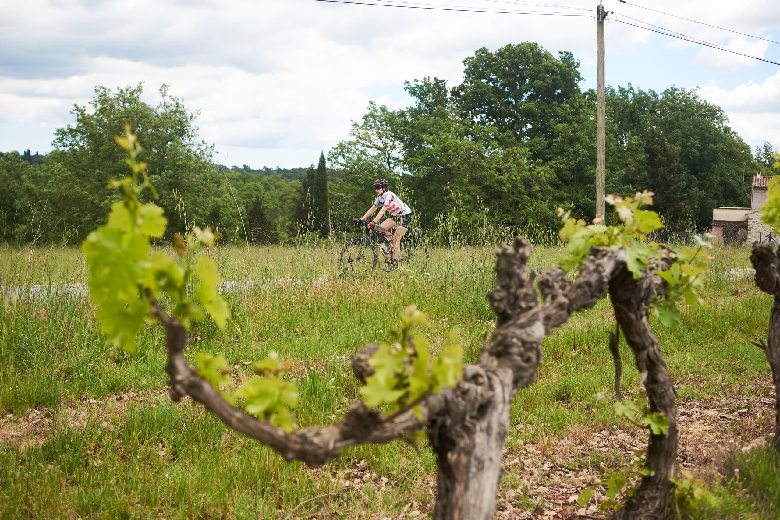 Riding past a vineyard on the route