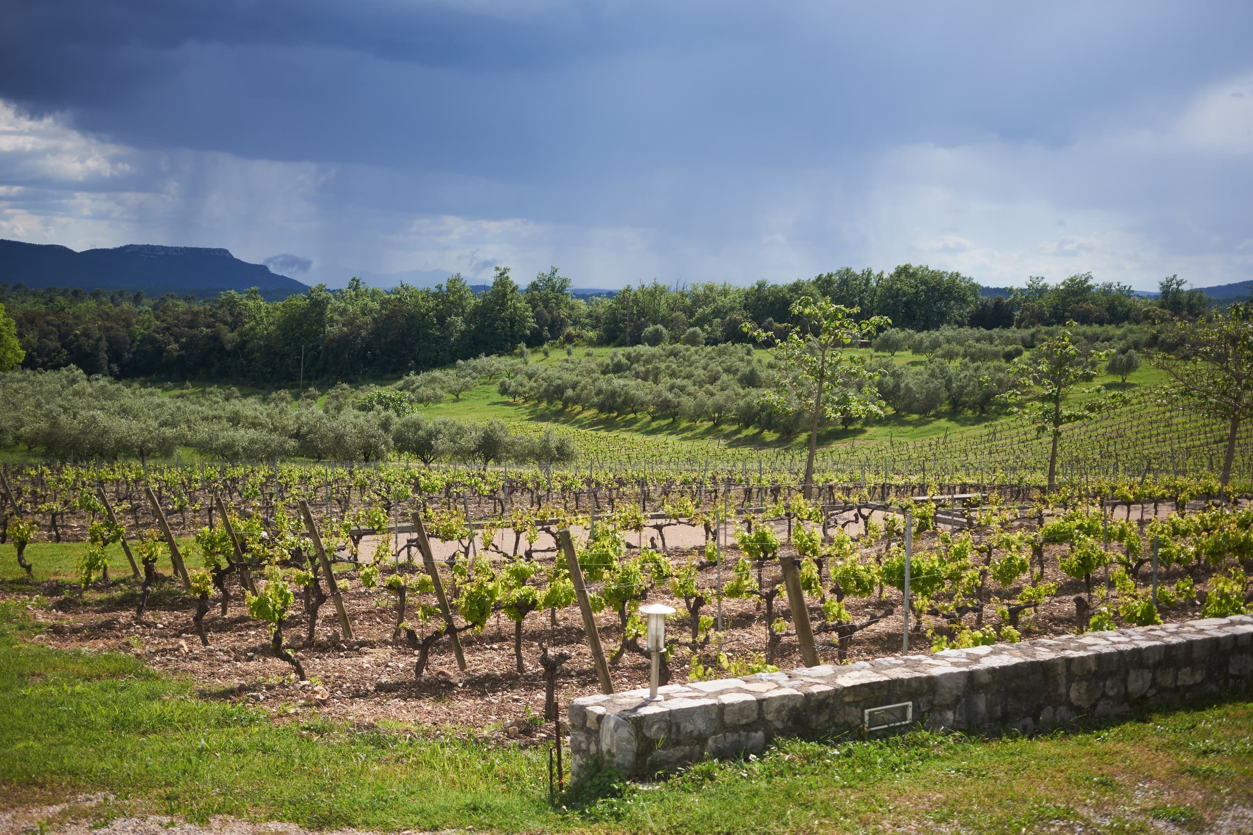 Storm clouds gathering over the vineyards near Claviers