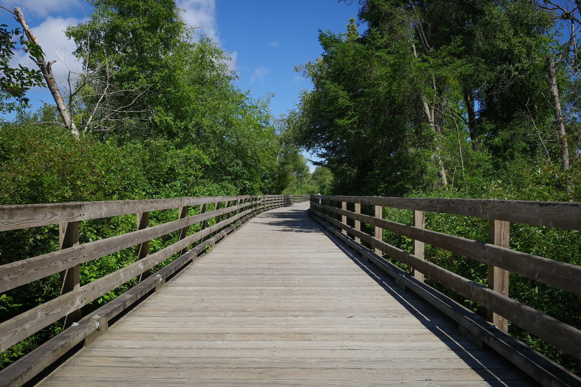 The wooden trestle on the Lochside Regional Trail
