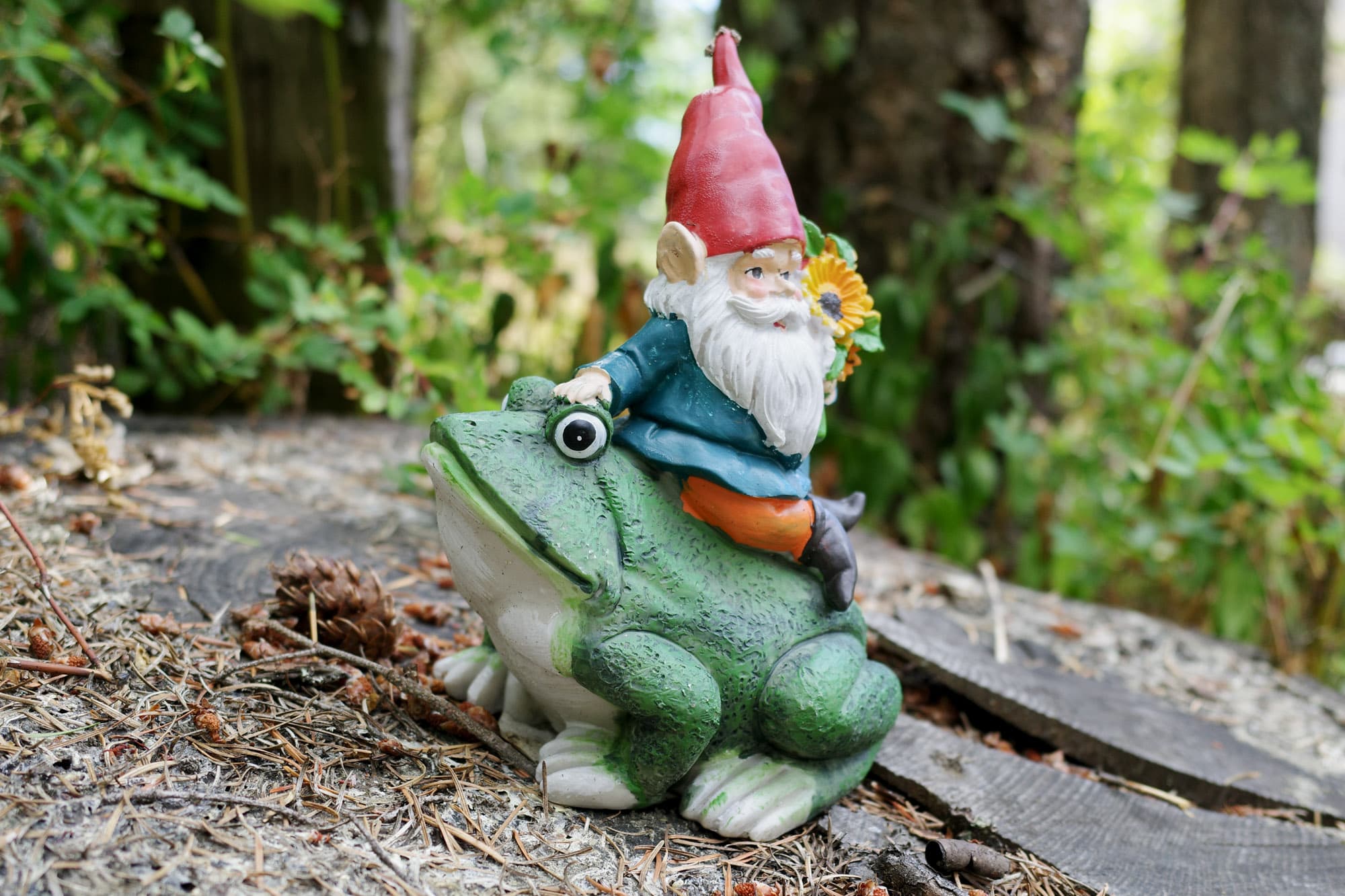 A garden gnome riding a frog, one of the loop's odd treasures
