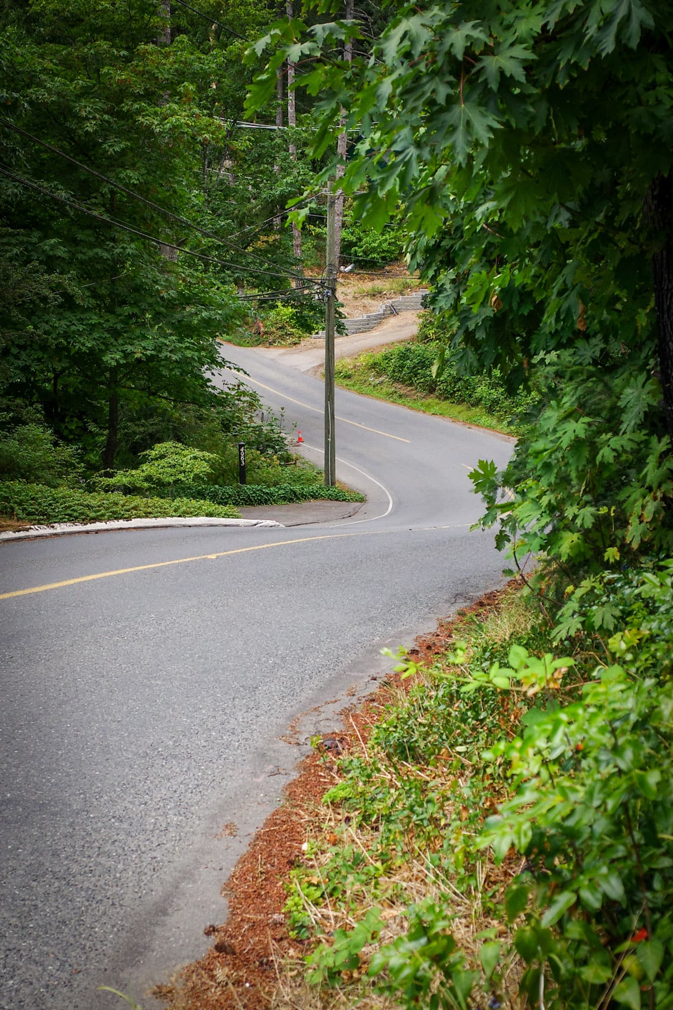 A winding treed road dropping through blind corners