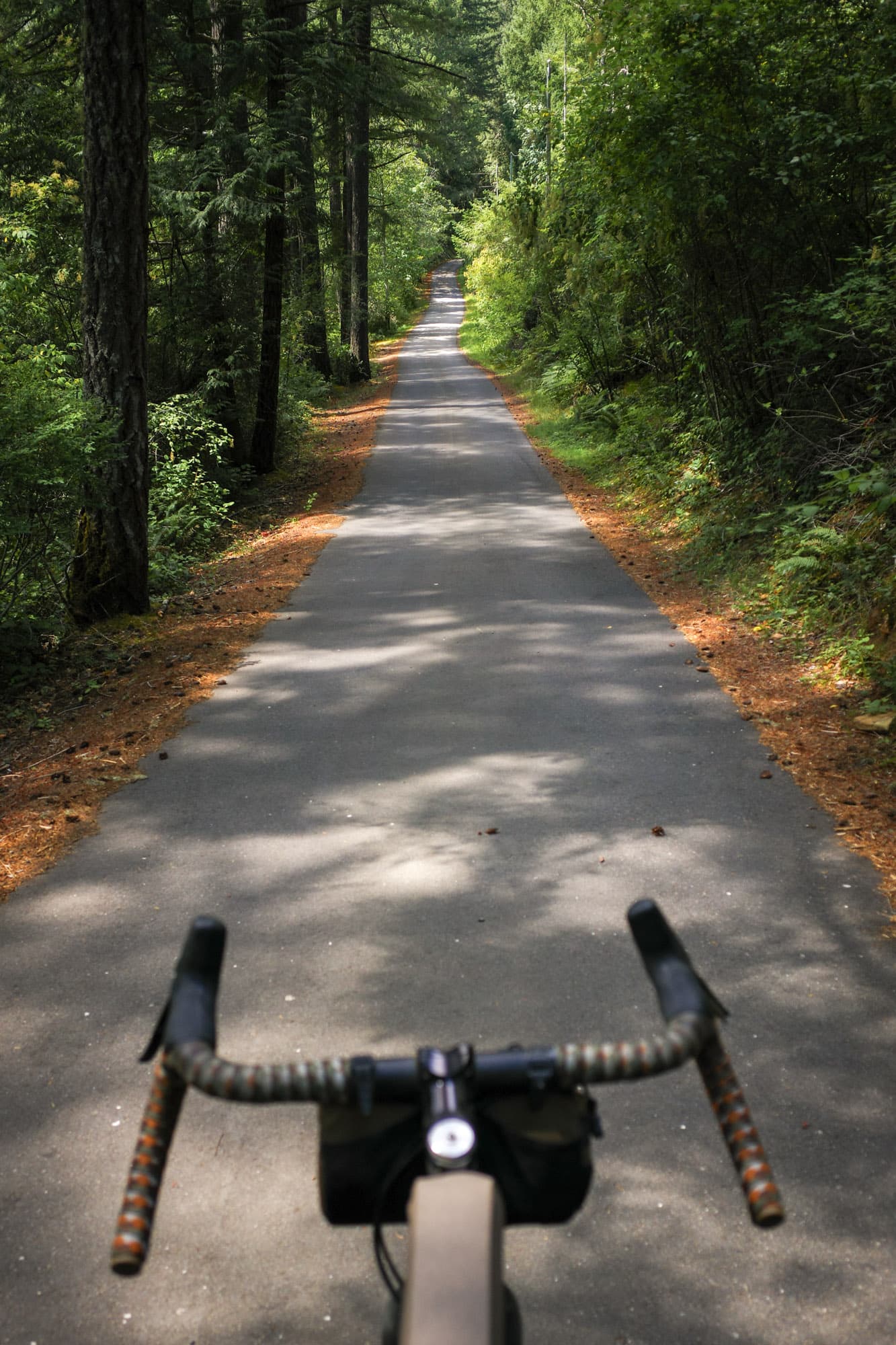 Looking down the long straight Lochside rail trail