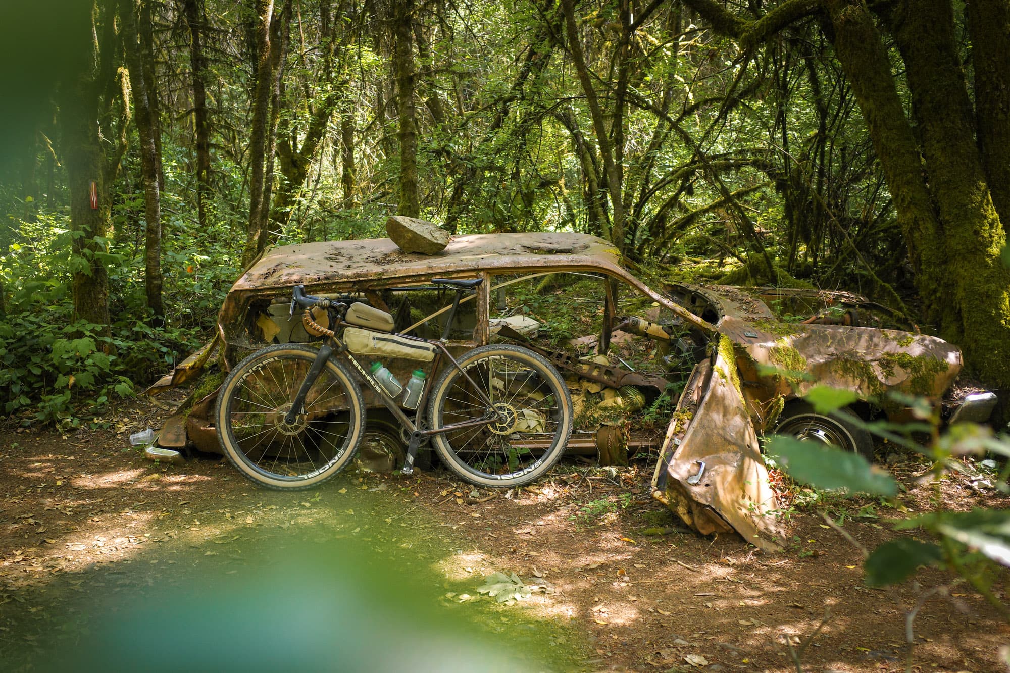 A mossy wrecked car deep in the woods along the trail