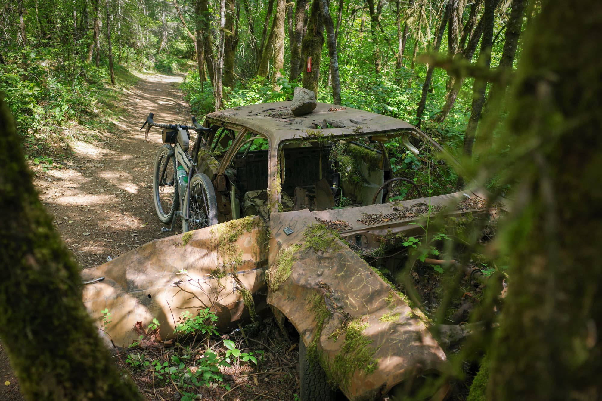 Another angle on the mossy wreck beside the doubletrack
