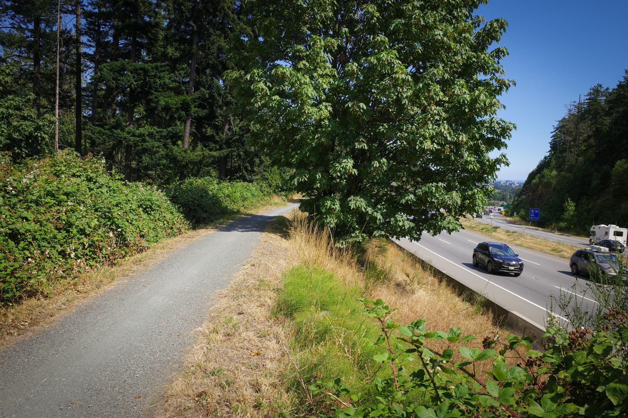 The car-free path running above the highway