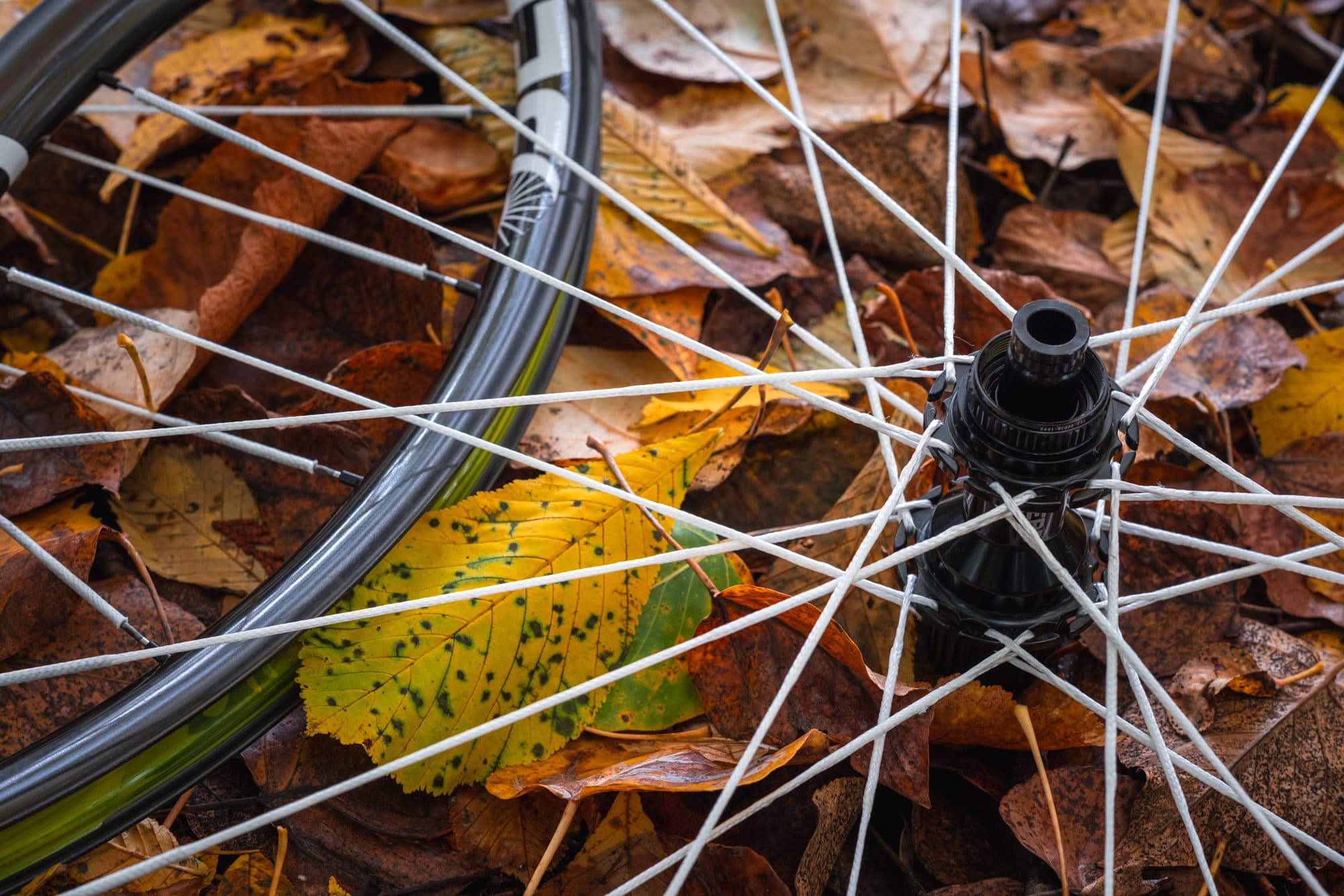 A close up of the hub and spokes.