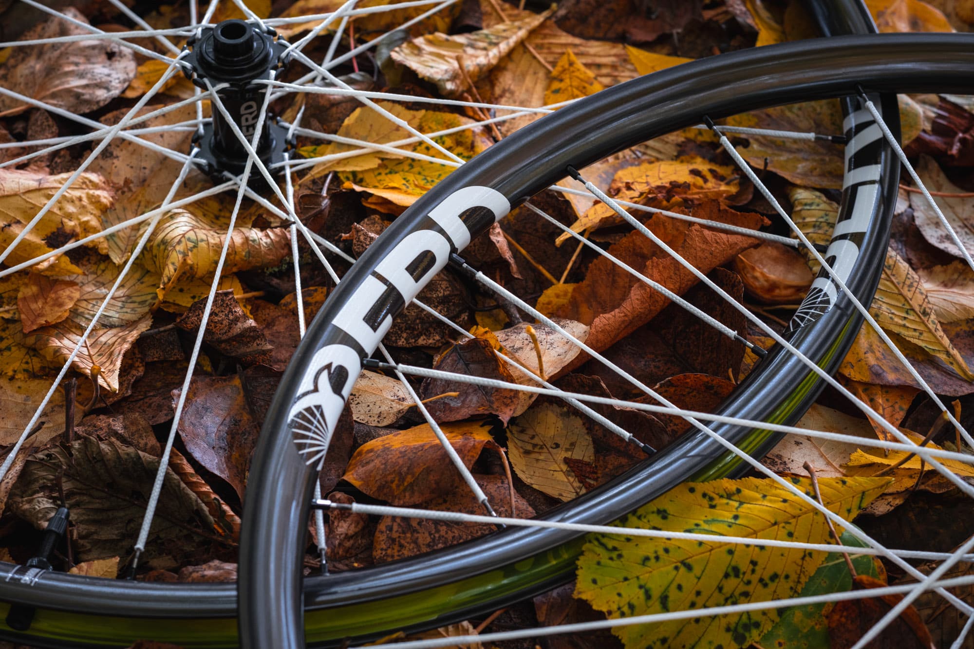 The Berd logo on the rim.
