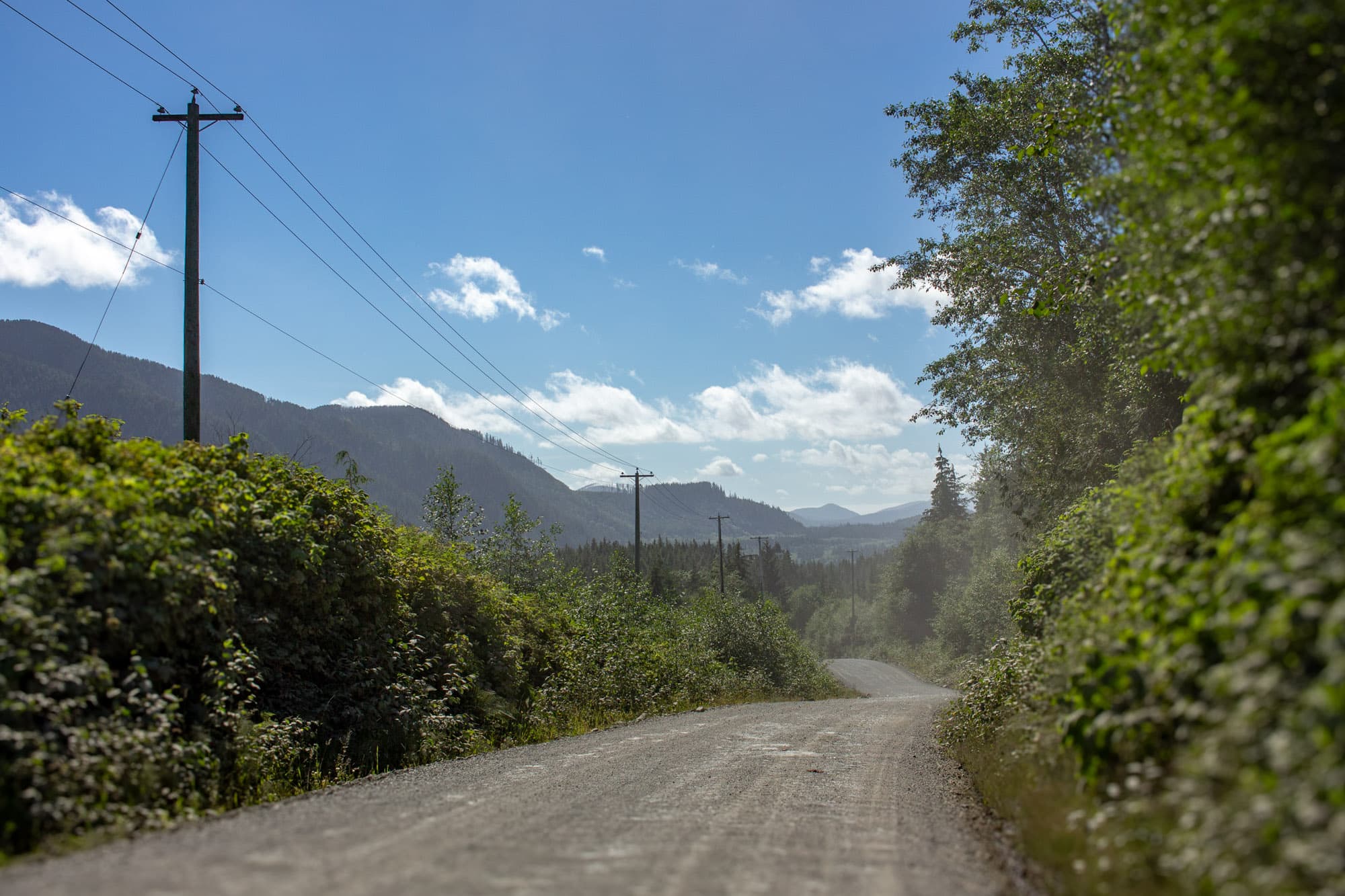 A dirt road to somewhere.