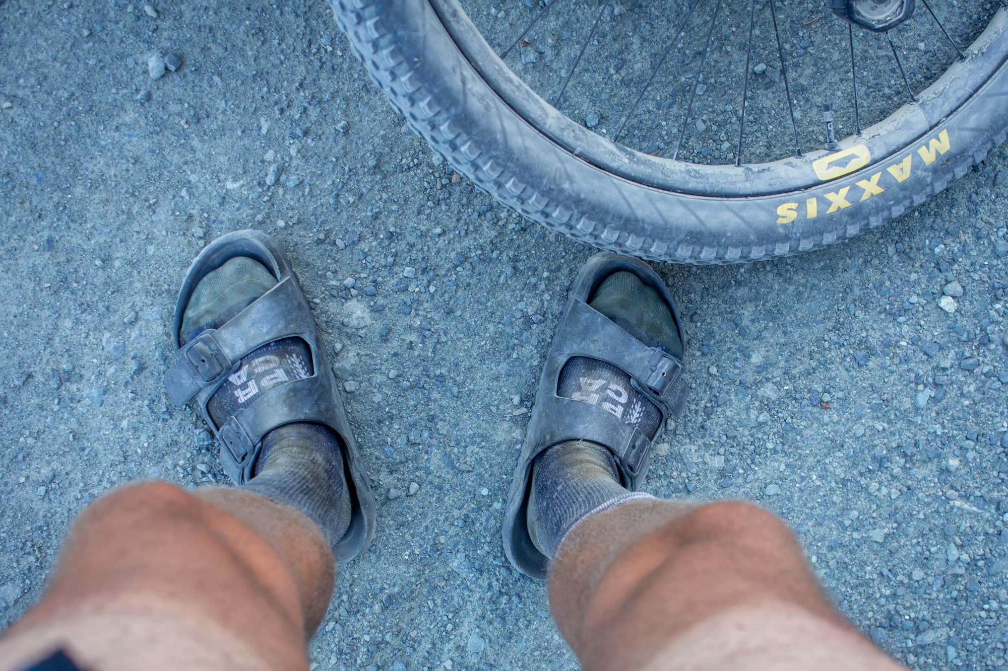 Barrys bike shoe backups.