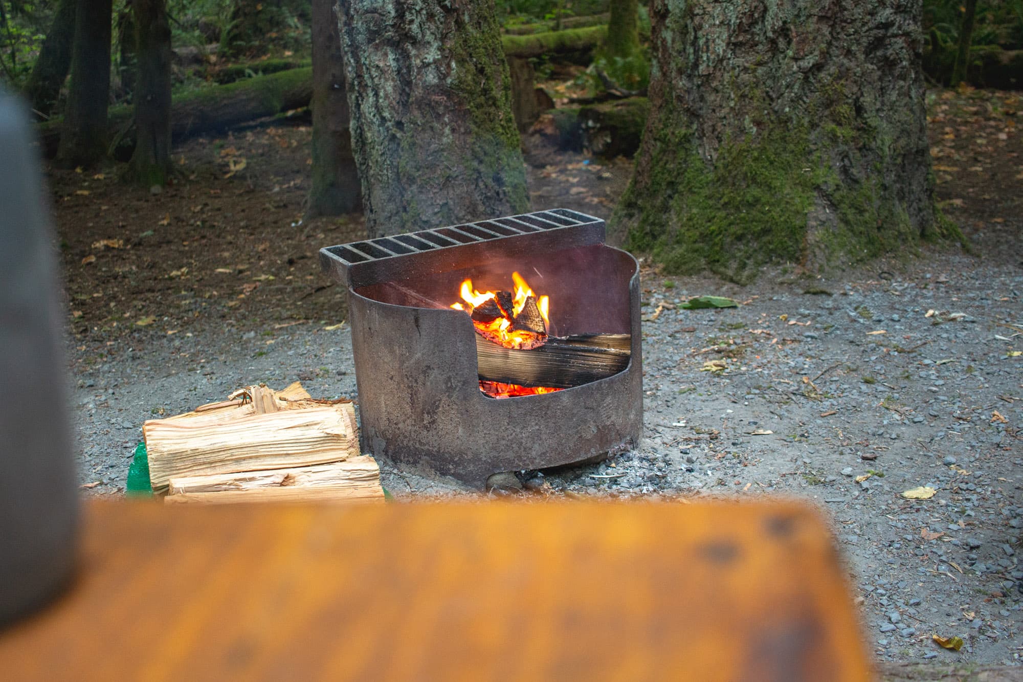A camp fire scene.