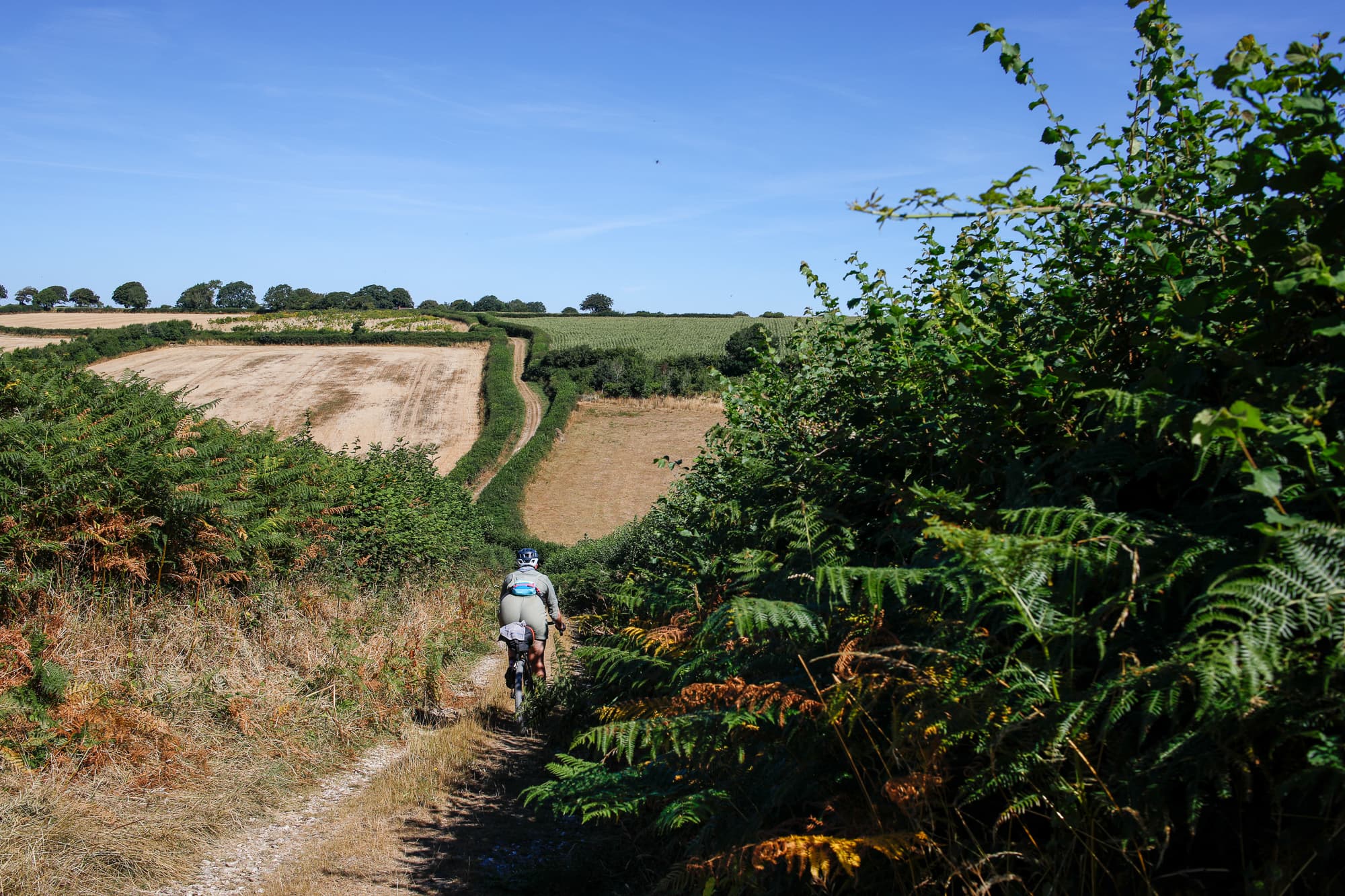 east devon countryside