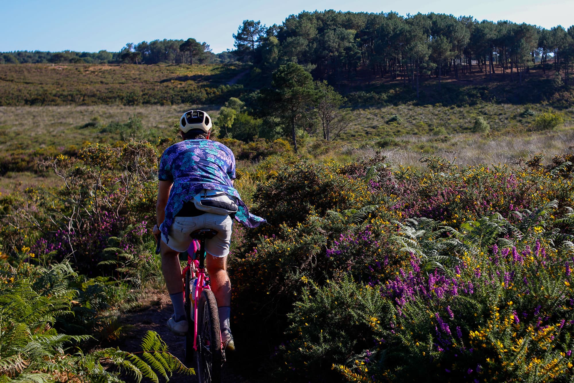 mattie rides the trail