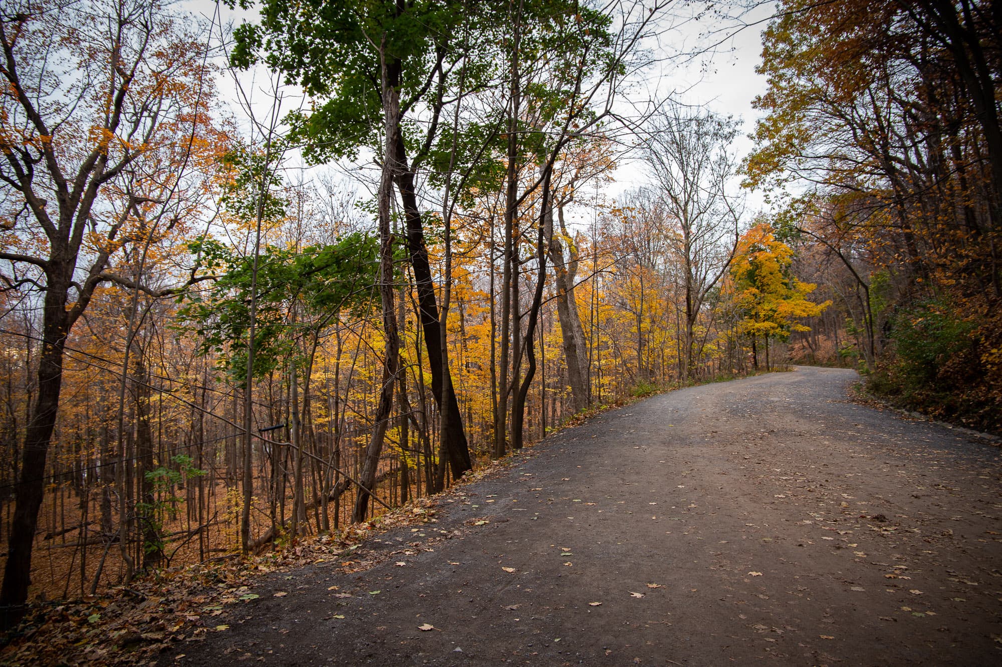 mont real gravel road