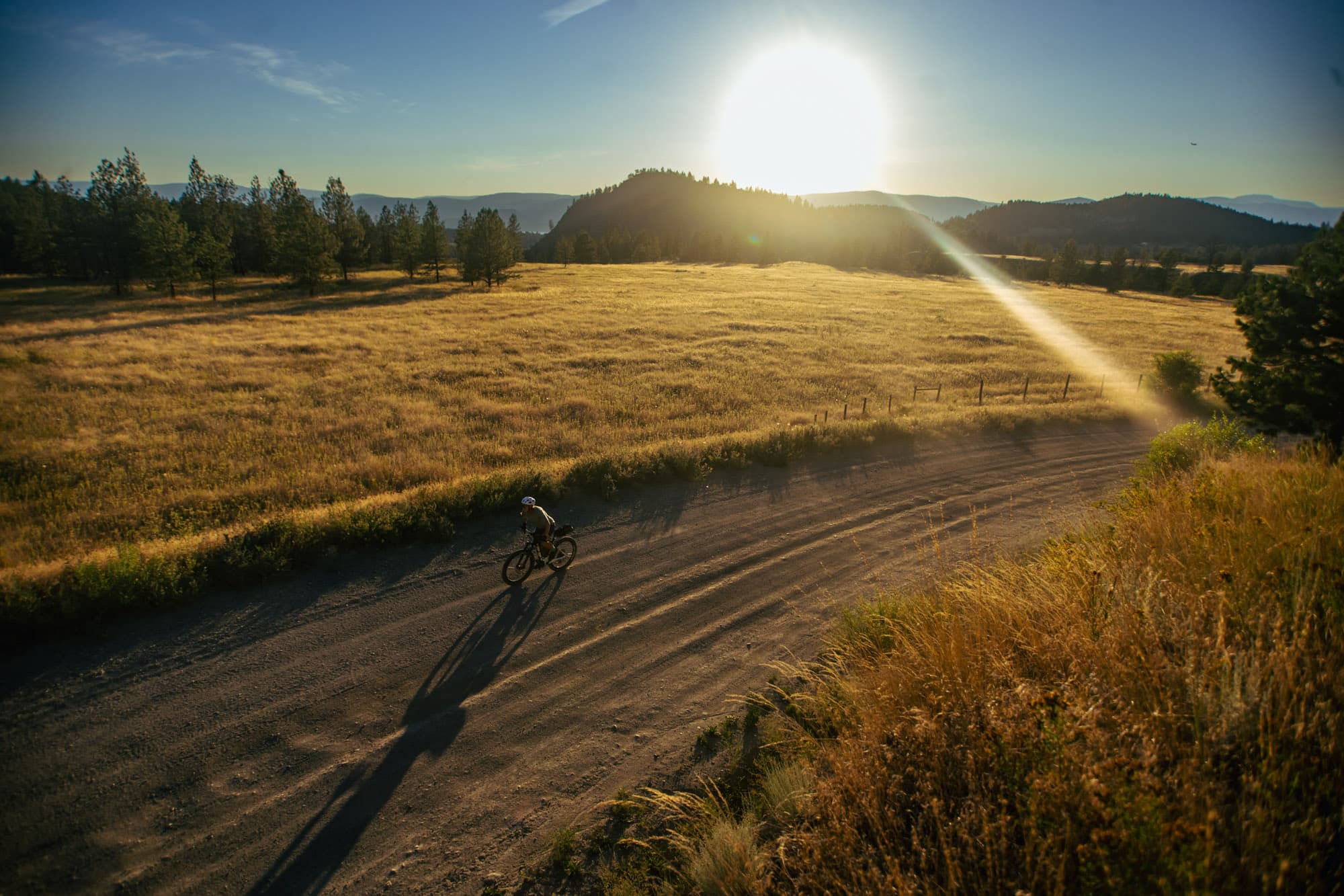 A rider on fast gravel through a golden field at sunset.
