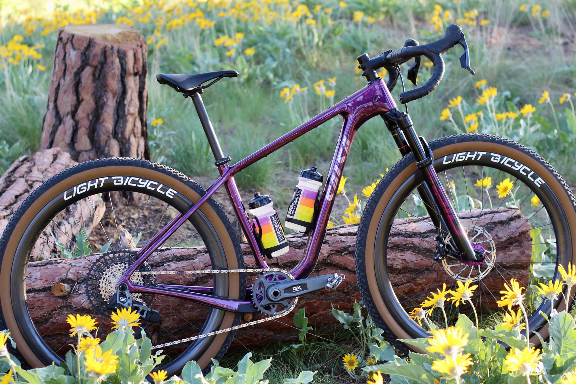 Meaghan's purple Salsa Cutthroat with Light Bicycle wheels resting against a log.