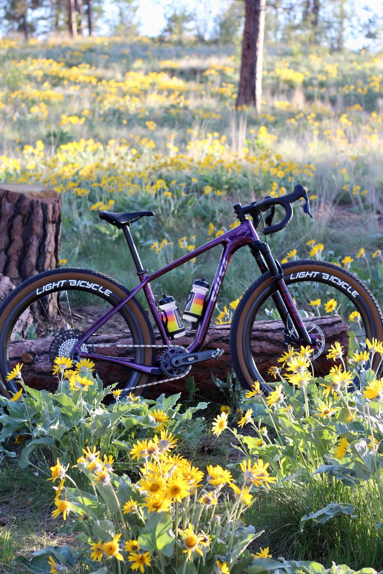 The loaded Cutthroat parked in a field of yellow balsamroot.
