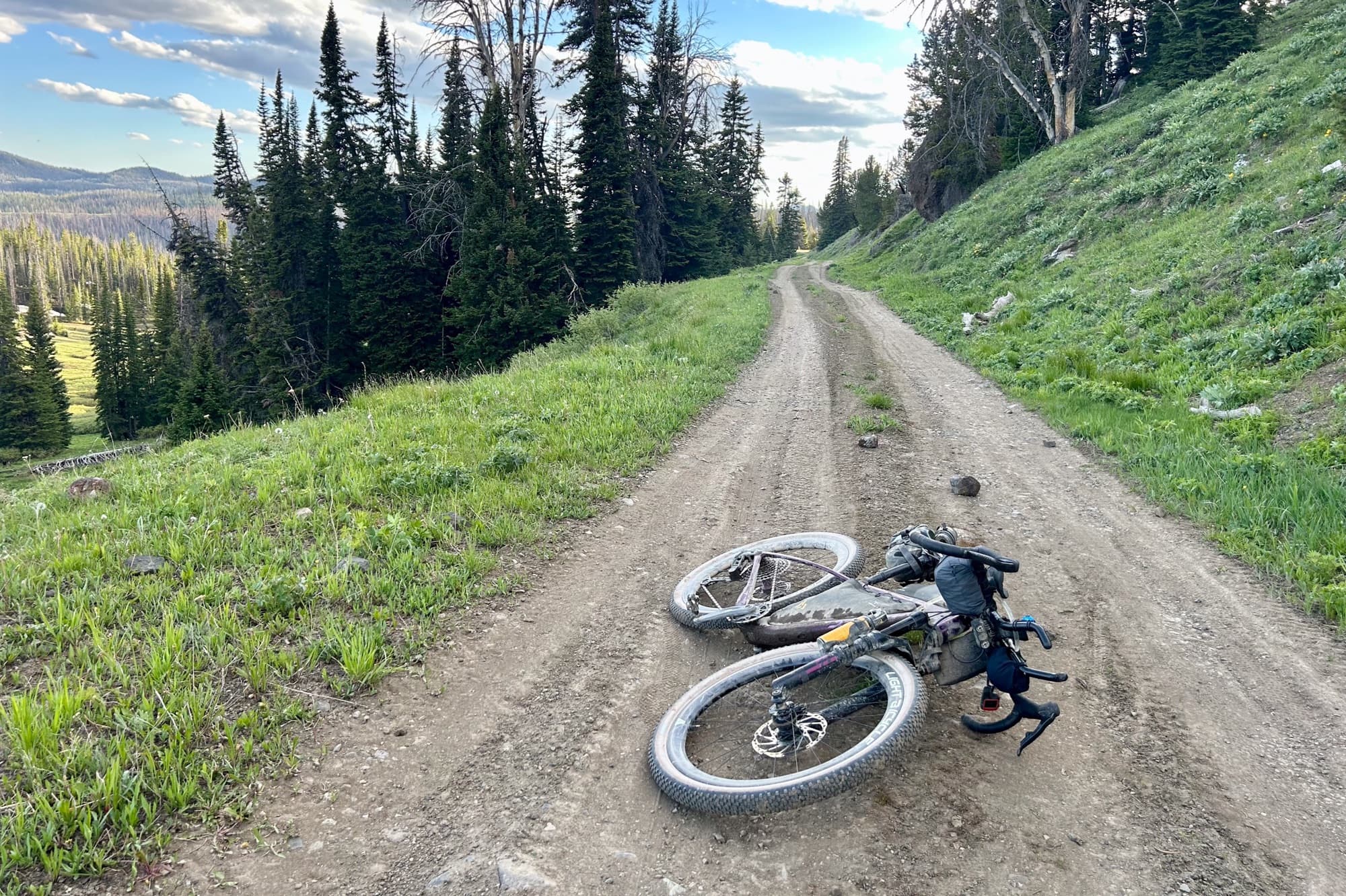 Dolly takes a rest on a doubletrack climb through alpine meadows