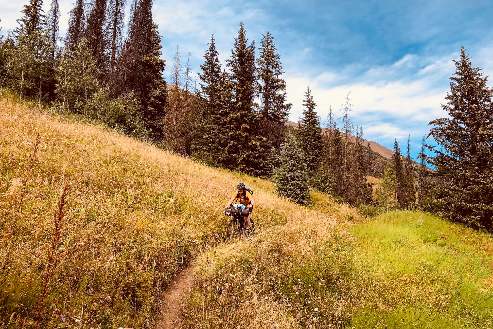 bikepacking through grass