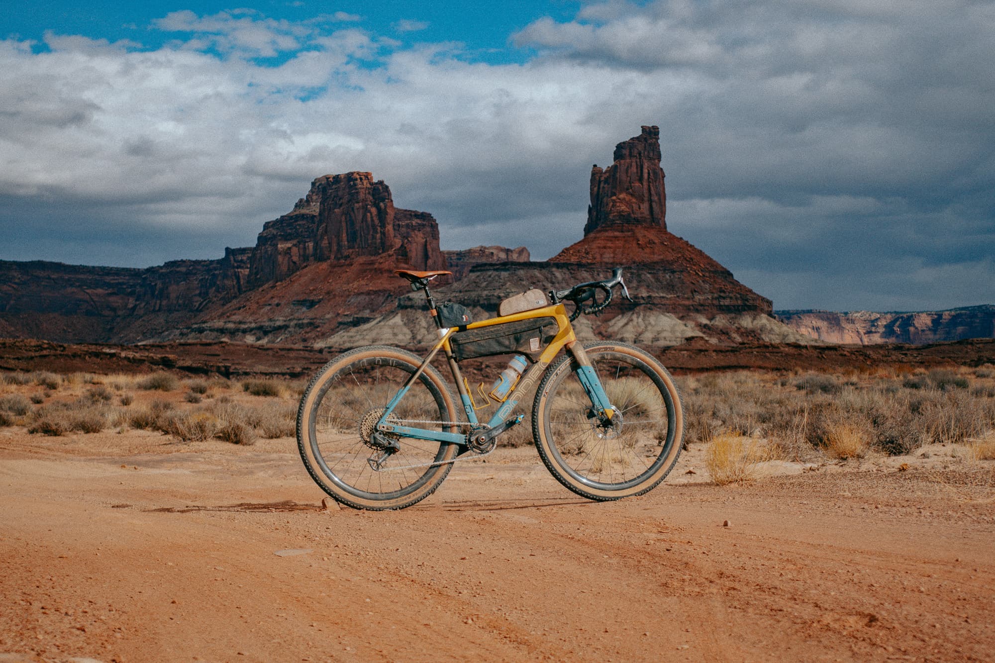 A Trail Donkey ready for adventure.