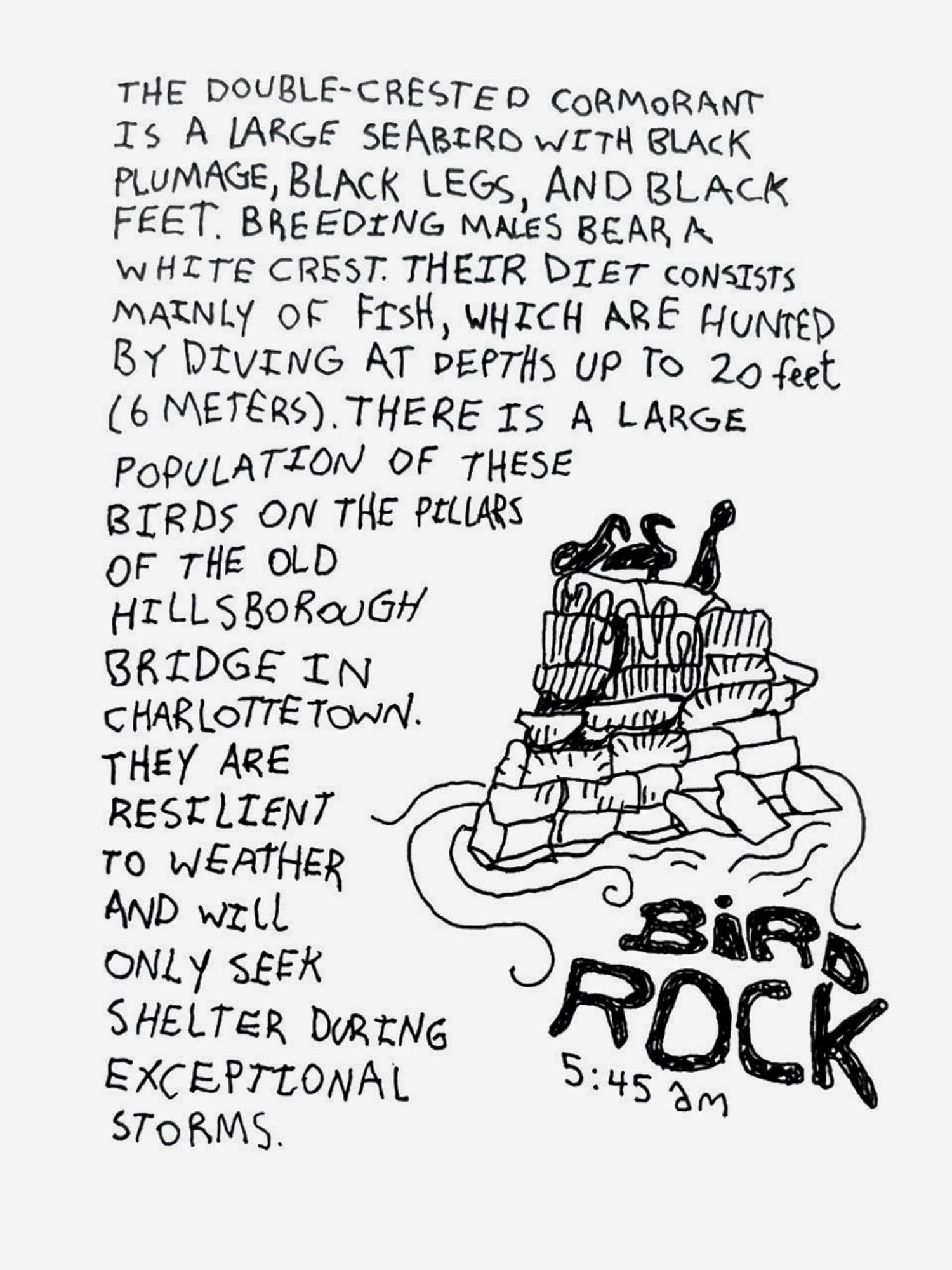 Bird rock.