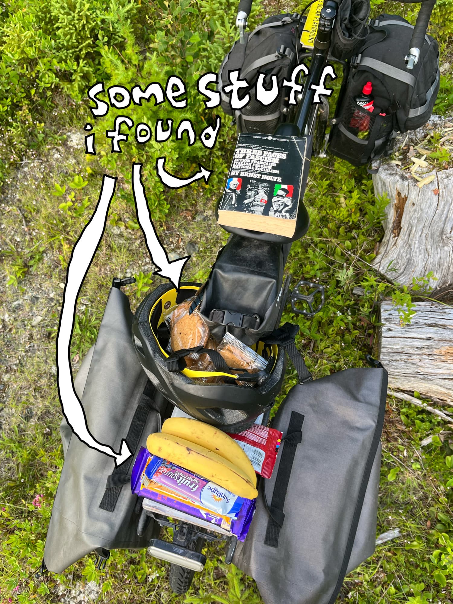 I found some stuff.