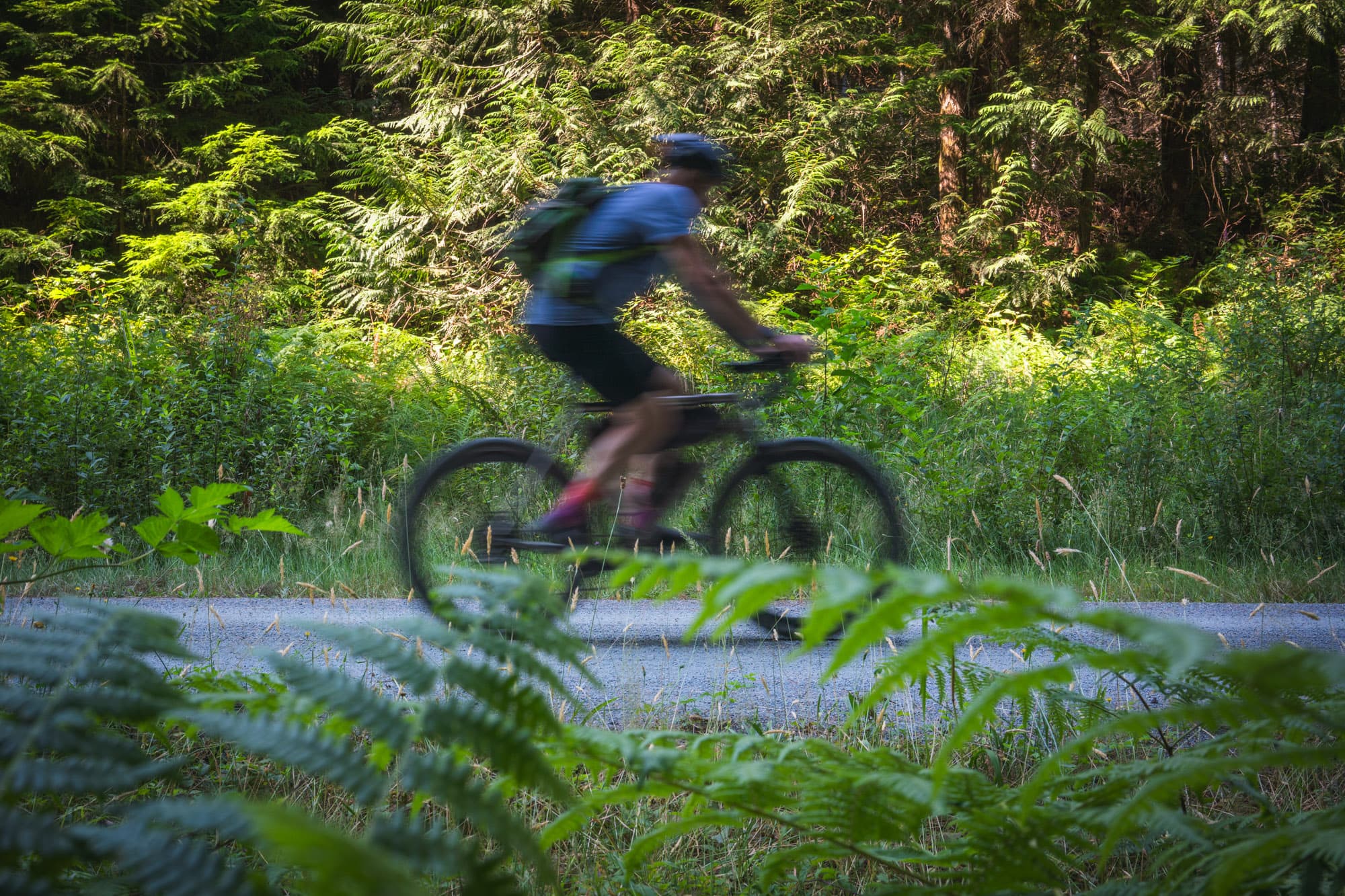 Gravel riding in Cowichan Valley.